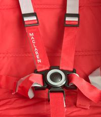 Пятиточечный ремень безопасности