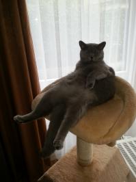 ну как то так