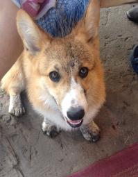 немного покопался в земле)))