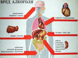 Автору поста чтобы не забывал что действительно мешает людям жить...