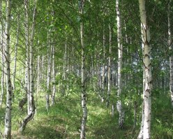 25 пейзажей, словно с другой планеты 