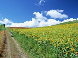 25 пейзажей, словно с другой планеты 