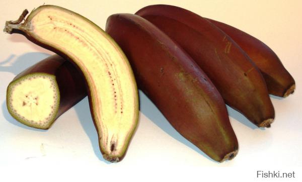 Фиолетовые бананы - по вкусу те же бананы, только менее сладкие