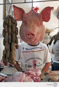 Удачный кадр