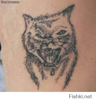 Самые неудачные татуировки 