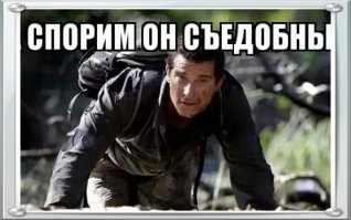 Самые большие насекомые