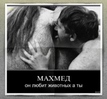 Как москвичи относятся к гостям с Кавказа. Толерантные мифы и правда