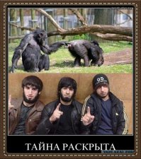 Как москвичи относятся к гостям с Кавказа. Толерантные мифы и правда