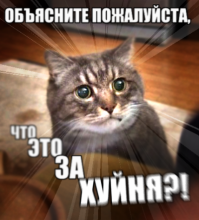 Плохая идея поймать пацанов 