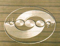 "Задал радиус — и свободен"
Теперь я знаю как делают идеально ровные круги на полях)) Только веревка должна быть на вращающейся втулке)