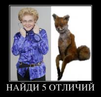 Зачем позорить лисенка сходством с медсестрой идиоткой?...
