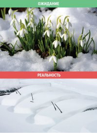 Скорее уж вот такая реальность