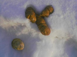 Скорее уж вот такая реальность