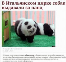 Новости в картинках