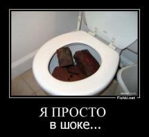 Что можно найти в туалете