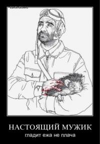 Изумительные колючие малыши