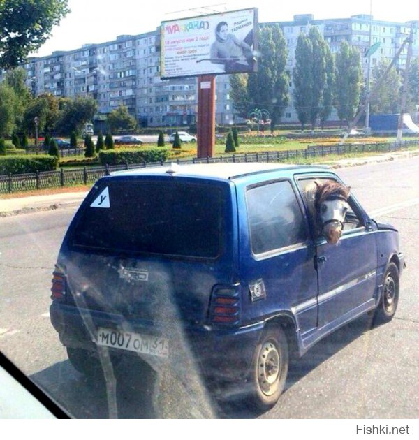 Meanwhile in Russia