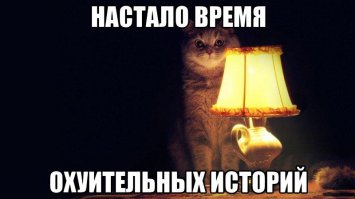 Я здесь))
