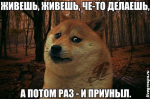 Для олдфагов