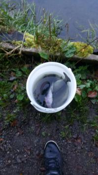 Ооочень люблю рыбалку