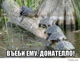 Животные, которые не знали о скором возвращении хозяина