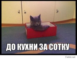 Животные, которые не знали о скором возвращении хозяина