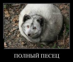  Не делайте, девушки, пластику!