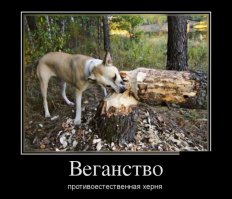 Вопрос к веганам