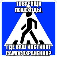 Сам пешеход 50/50.
Посоветовал бы 100%ым пешеходам:
