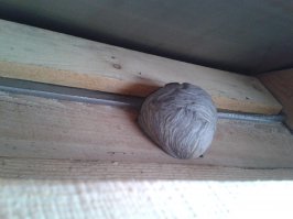 У меня под крышей)