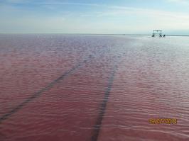 Насчет розовой соли. Алтайский край, зеро Бурлинское. Хотя соль все-таки не такая розовая, но вода...