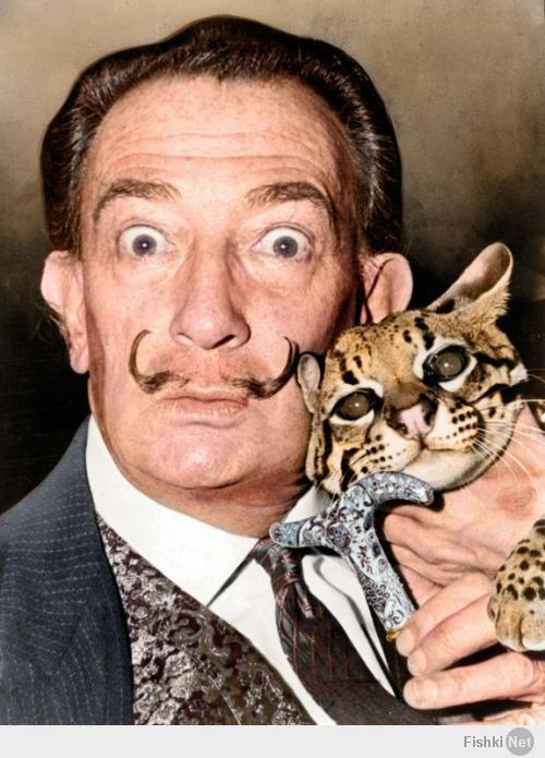 Минута доброты