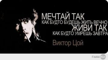 Подборка видео от 21.05.2014