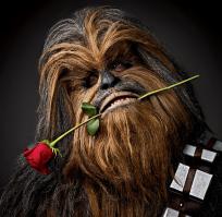 Подборка видео от 07.07.2014