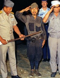 Япония в цвете