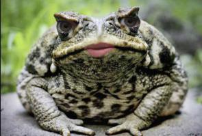 ЭТО ВСЁ ОНА РОДИМАЯ!!