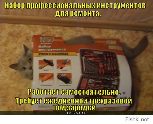 Коты помощники 