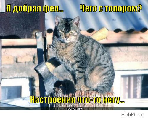 Коты помощники 