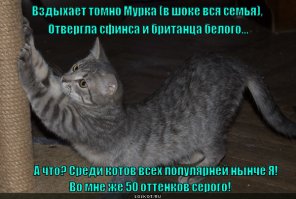 Красава!