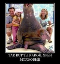 Фишкина солянка за 17.06.2014