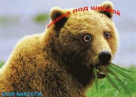 Смешные картинки с подписями