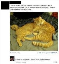 Тоже такое было. Уехала на учебу в Японию. Оставила собаку и рыжего кота Батона на своего друга. Предупредила, кот рыжий наглый, что хочет то и делает, может выбежать за дверь на улицу. Приехала, а дома 2 рыжих кота и на каждом столбе висит объявление - пропал кот Барсик рыжий. Друган пошел гулять с собакой, возвращается у подъезда сидит кот рыжий. Он его отругал и ко мне домой притащил. На другой день приходит и видит 2х котов. Какой мой он не знал, вот и оставил до моего приезда. Кота вернула, правда матюгов наслушалась ужас!!