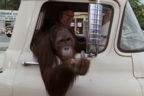 Перевозчик