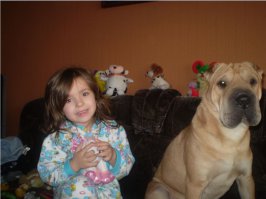 17 потрясающе милых собачек в морщинках