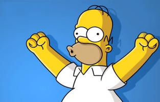 Кот на Гомера похож )