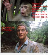 Медвежий угол Где обитает и куда любит ездить главный хищник экстремал