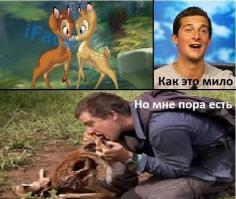 Медвежий угол Где обитает и куда любит ездить главный хищник экстремал