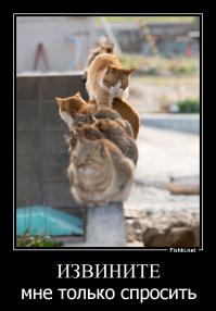 Фотоподборка за 25.11.2014