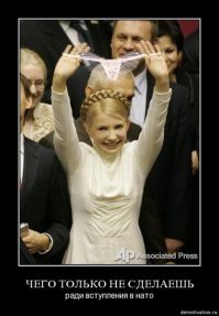 Украина и НАТО: выгодный союз или кабальная сделка?