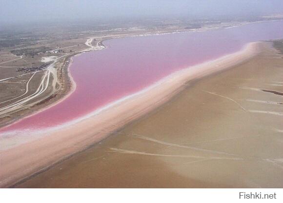Ретба или розовое озеро в Сенегале